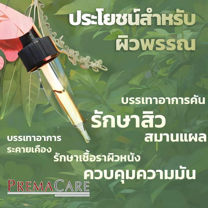 Tea tree oil benefits ประโยชน์ของน้ำมันทีทรี