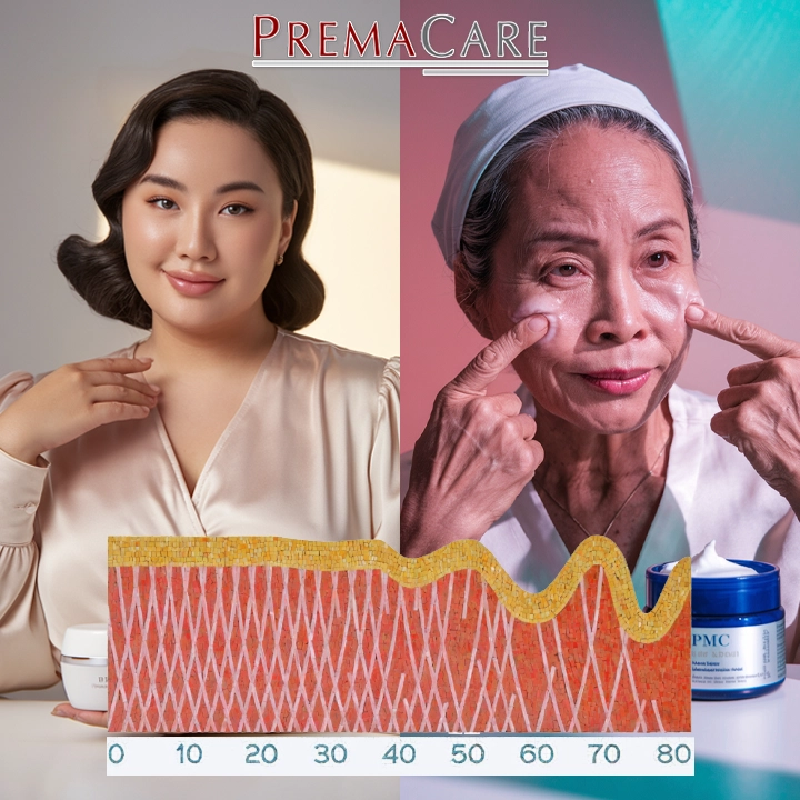 กราฟแสดงโครงสร้างคอลลาเจนที่แข็งแรงและการเสื่อมถอยตามวัย aging denaturation of collagen