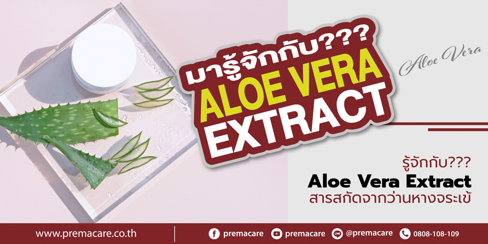 รู้จักกับ Aloe Vera Extract สารสกัดจากว่านหางจระเข้ 2396